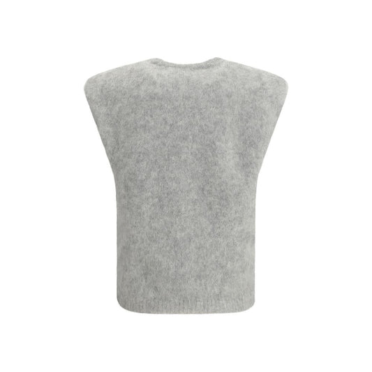 Gray Alpaca Vicugna Pacos T-Shirt