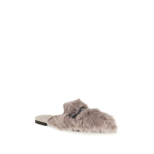 Gray Lamb Ovis Aries Aries Mules