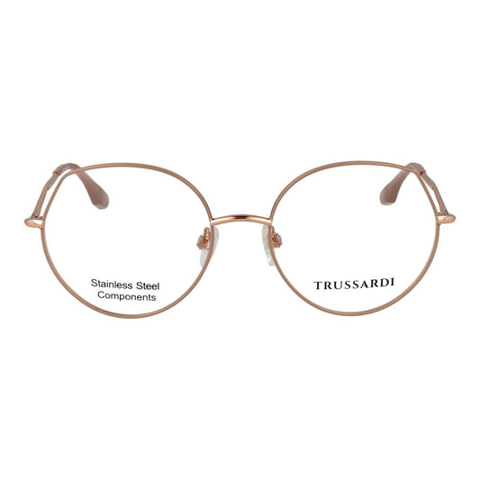 Pink Stainless Steel Glasses (Frames)