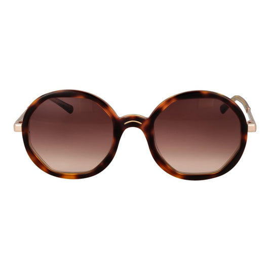 Brown Acetate Sunglasses