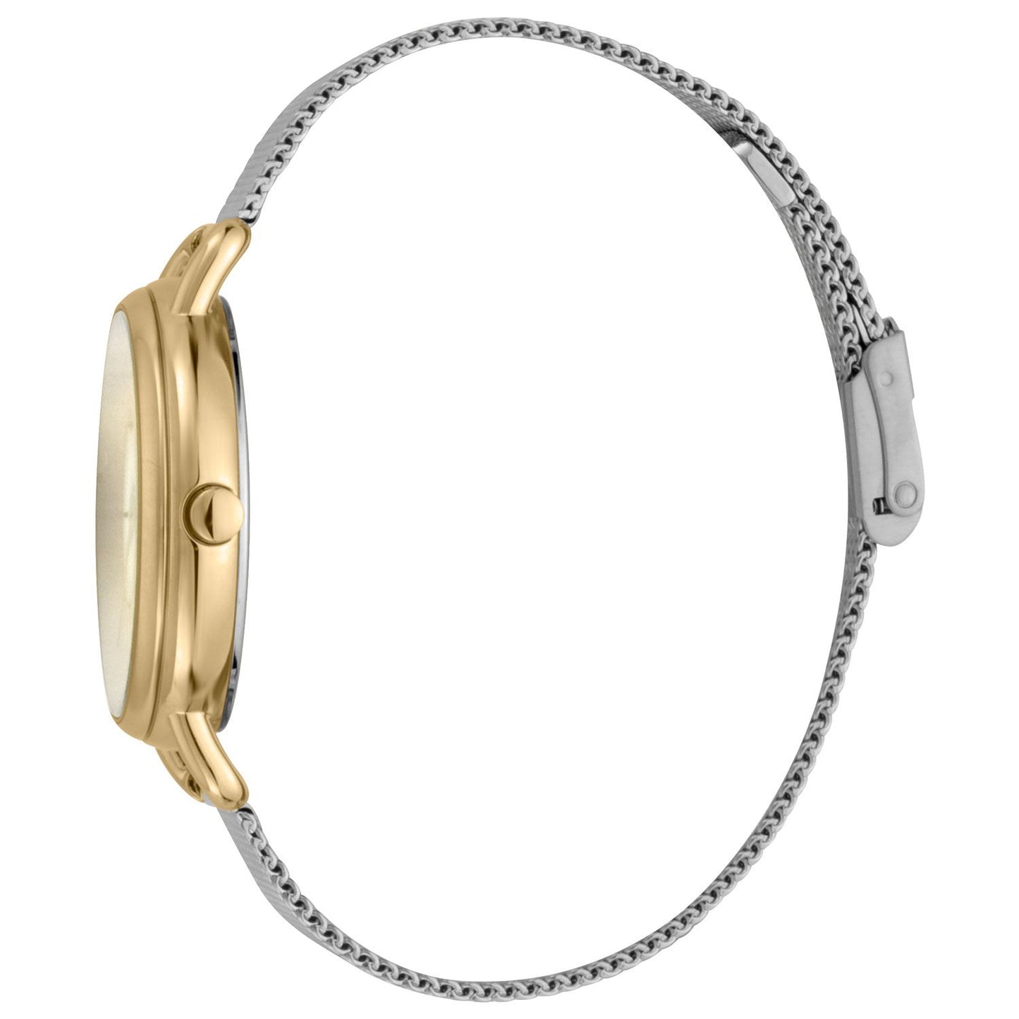 Bicolor Women Watch