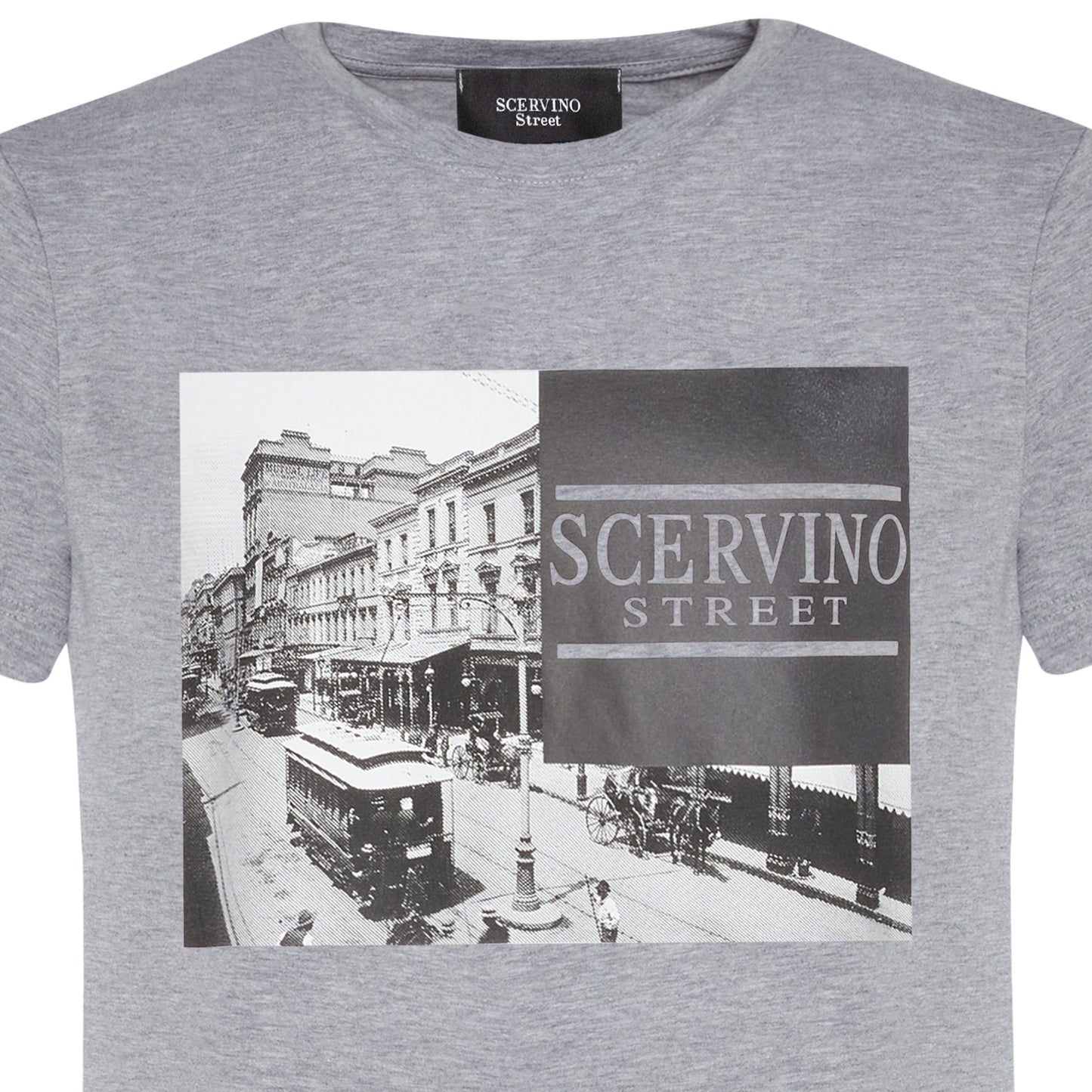 Gray Cotton Men T-Shirt