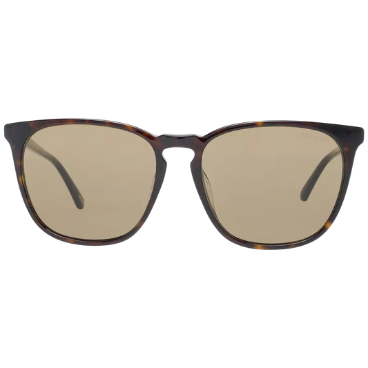 Brown Men Sunglasses