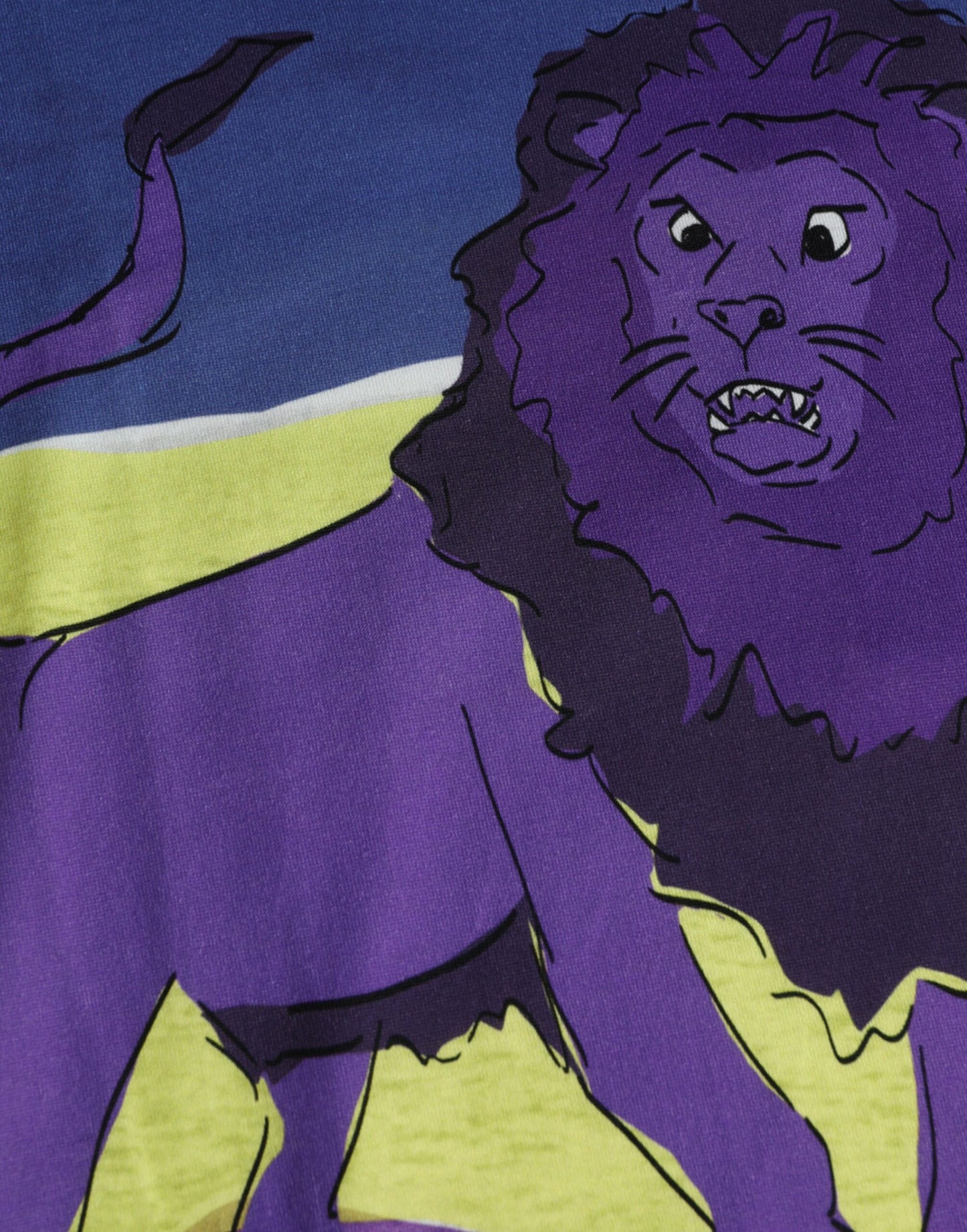 Multicolor Lion Print Round Neck T-shirt