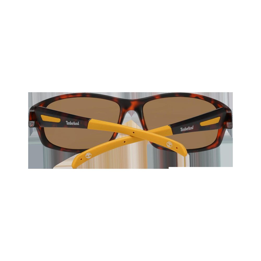 Brown Sunglasses