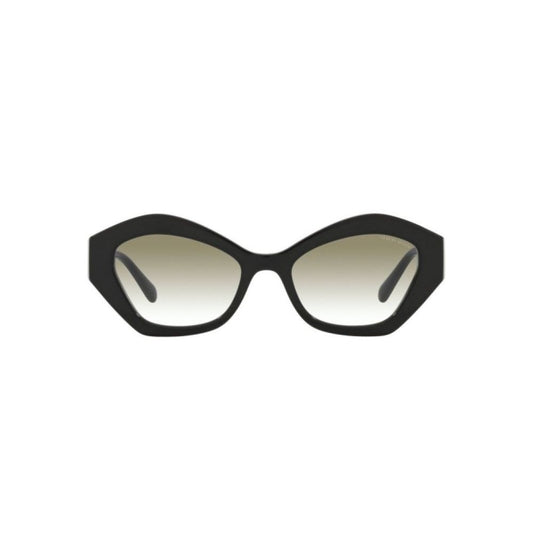 Black Acetate Sunglasses