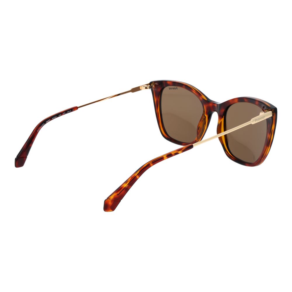 Brown Plastic Sunglasses