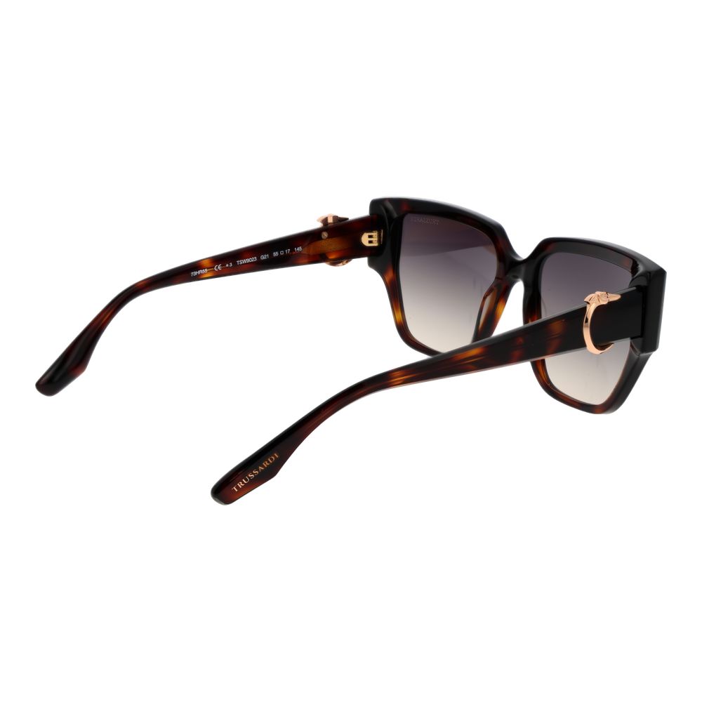 Brown Acetate Sunglasses