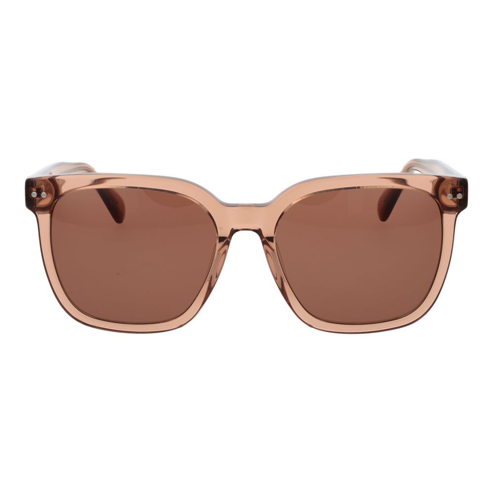 Brown Plastic Sunglasses
