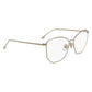 Gold Metal Glasses (Frames)
