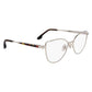 Gold Metal Glasses (Frames)