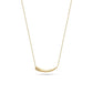 Gold Stainless Steel Necklace
