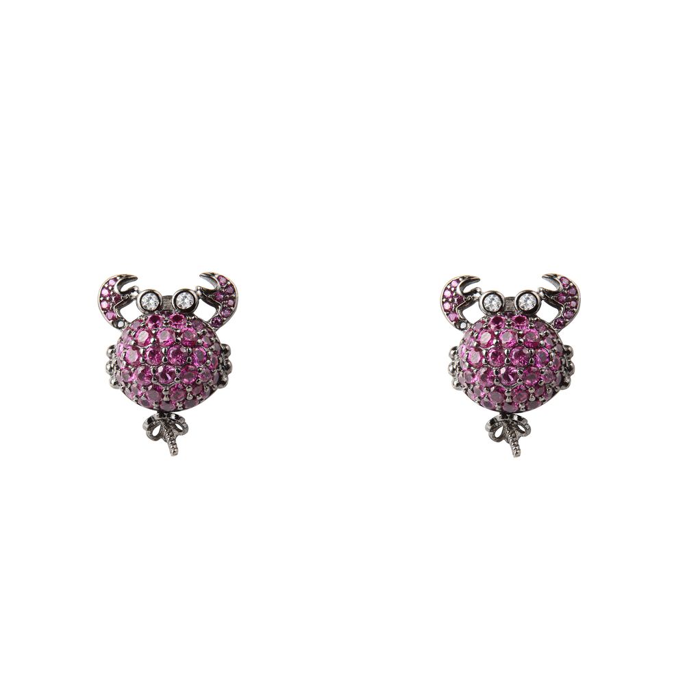 Bicolor Silver Earrings