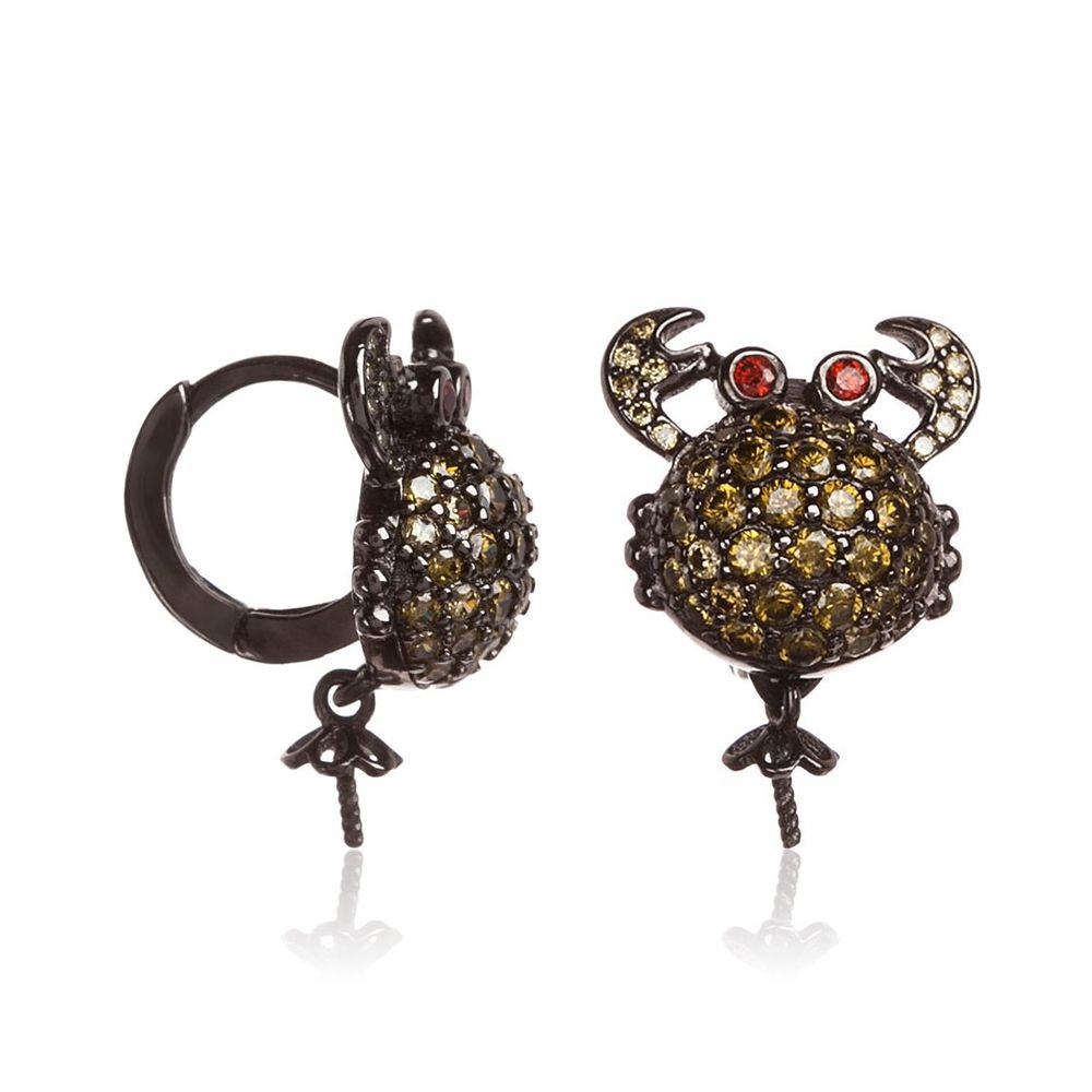 Black Silver Earrings