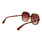 Brown Plastic Sunglasses