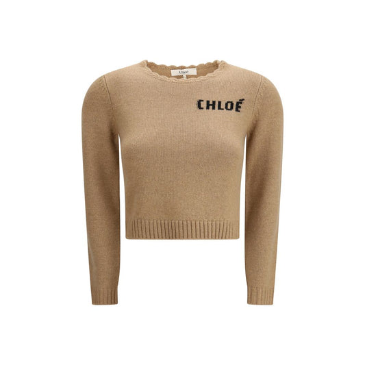 Brown Wool Sweatshirt