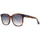 Brown Acetate Sunglasses