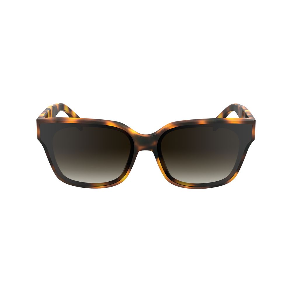 Brown Acetate Sunglasses
