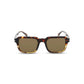 Brown Acetate Sunglasses