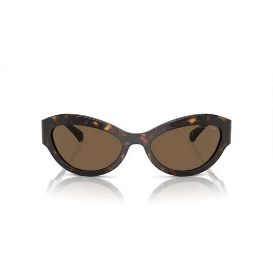 Brown Acetate Sunglasses