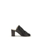 Black Lamb Ovis Aries Aries Mules