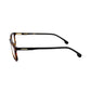 Brown Resin Glasses (Frames)
