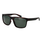 Brown Plastic Sunglasses