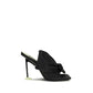 Black Lamb Ovis Aries Aries Mules