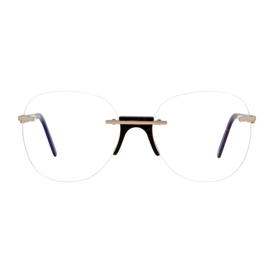 Gold Metal & Plastic Glasses (Frames)