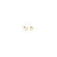 Gold Brass Earrings
