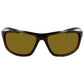 Brown Injected Sunglasses