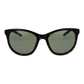 Brown Plastic Sunglasses