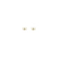 Gold Metal Earrings