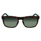 Brown Bio Injected Sunglasses