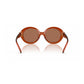 Brown Acetate Sunglasses