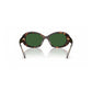 Brown Acetate Sunglasses