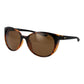Brown Plastic Sunglasses