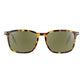 Brown Resin Sunglasses