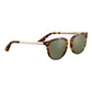 Brown Plastic Sunglasses