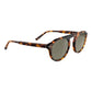 Brown Resin Sunglasses
