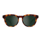 Bicolor Resin Sunglasses