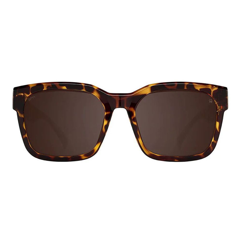 Brown Resin Sunglasses