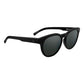 Black Resin Sunglasses