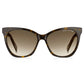 Brown Acetate Sunglasses