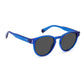 Blue Plastic Sunglasses