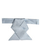 Men Light Blue SIlk Adjustable Neck Papillon Bow Tie