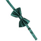 Men Green 100% Silk Adjustable Neck Papillon Bow Tie