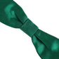 Men Green 100% Silk Adjustable Neck Papillon Bow Tie