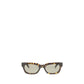 Brown Acetate Sunglasses