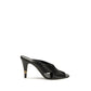 Black Lamb Ovis Aries Mules